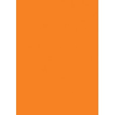 Prijskaart fluor oranje 16x24cm 100st Tfr162415K